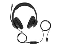 Targus AEH102GL - Kuulokkeet + mikrofoni - korvien päällä - muunneltava - langallinen - USB-A - melua vaimentava - musta AEH102GL